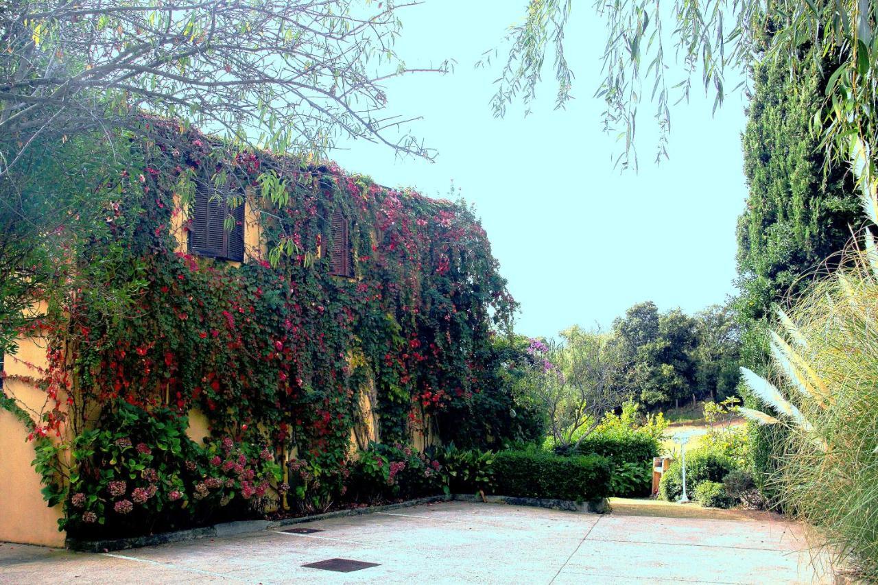 Residence Helios Cargese Ngoại thất bức ảnh